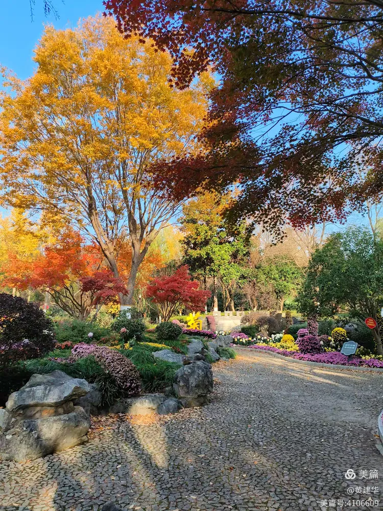 唐闸公园秋色美